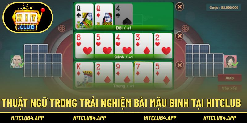 Thuật ngữ đầy đủ trong trải nghiệm game bài Binh xập xám